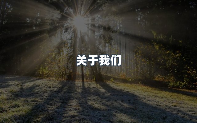 团队合作